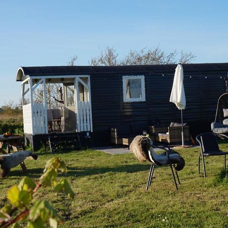 Bed And Breakfast Het Schapenlandje Waarland Bagian luar foto