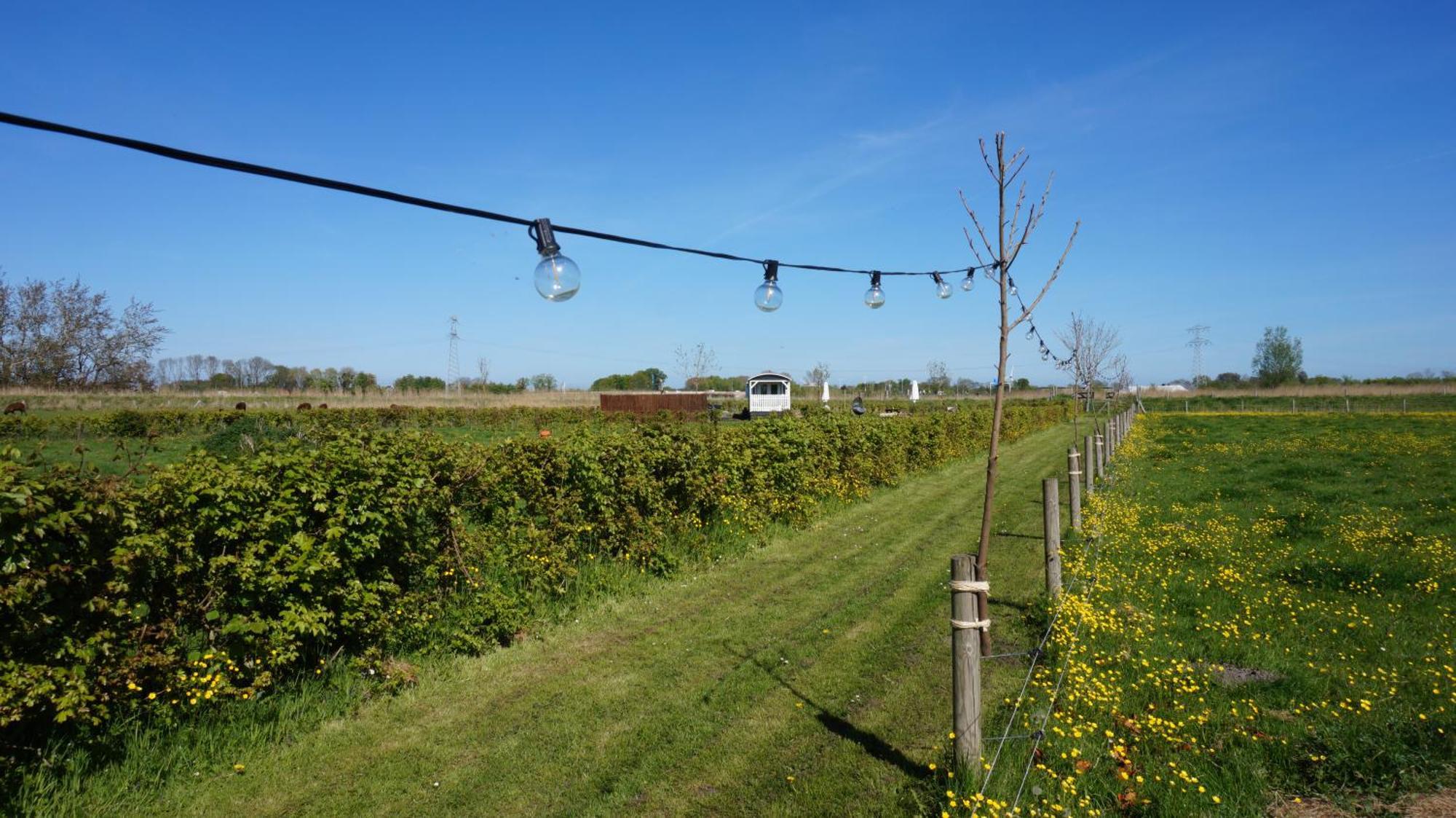 Bed And Breakfast Het Schapenlandje Waarland Bagian luar foto
