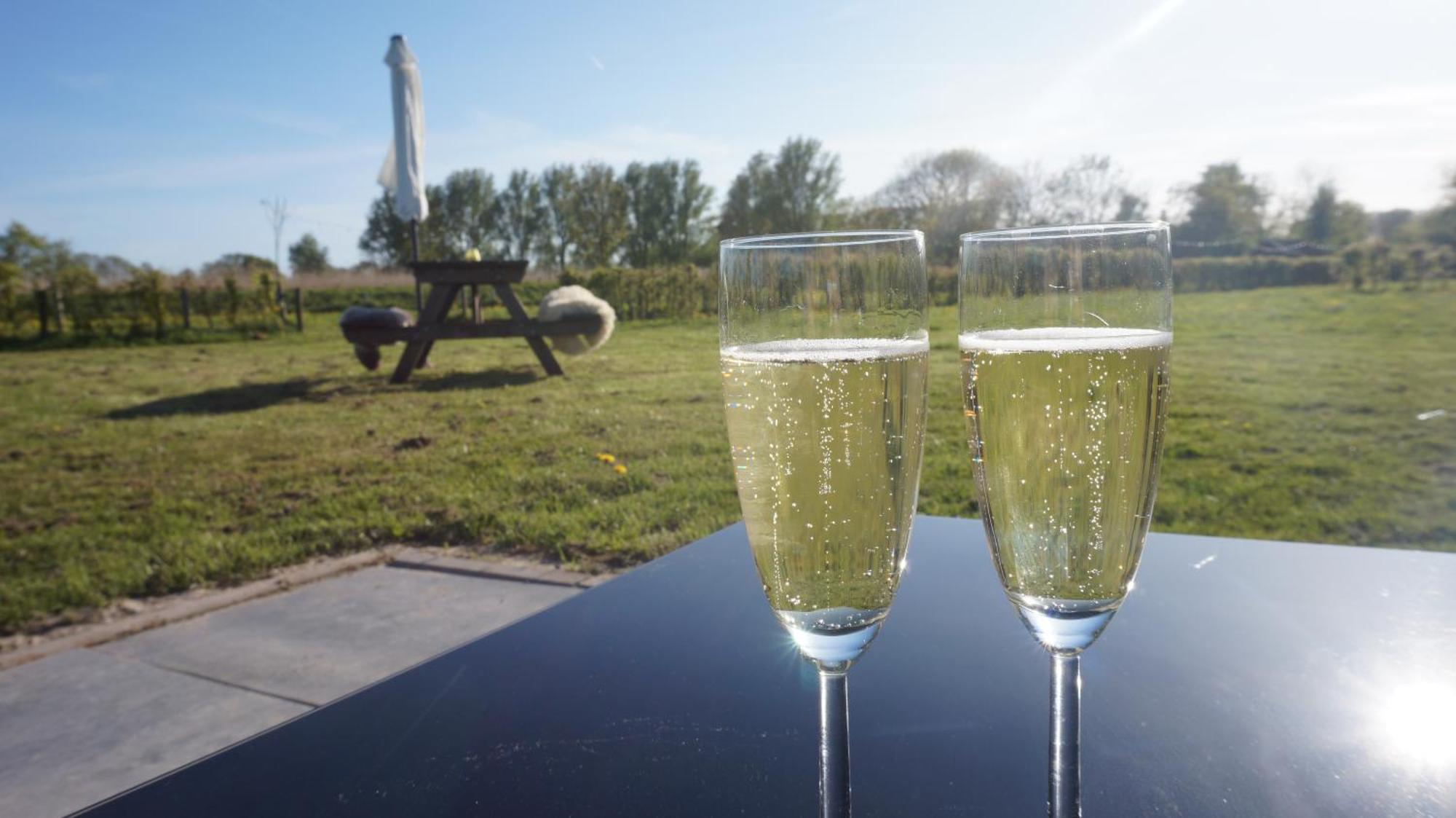 Bed And Breakfast Het Schapenlandje Waarland Bagian luar foto