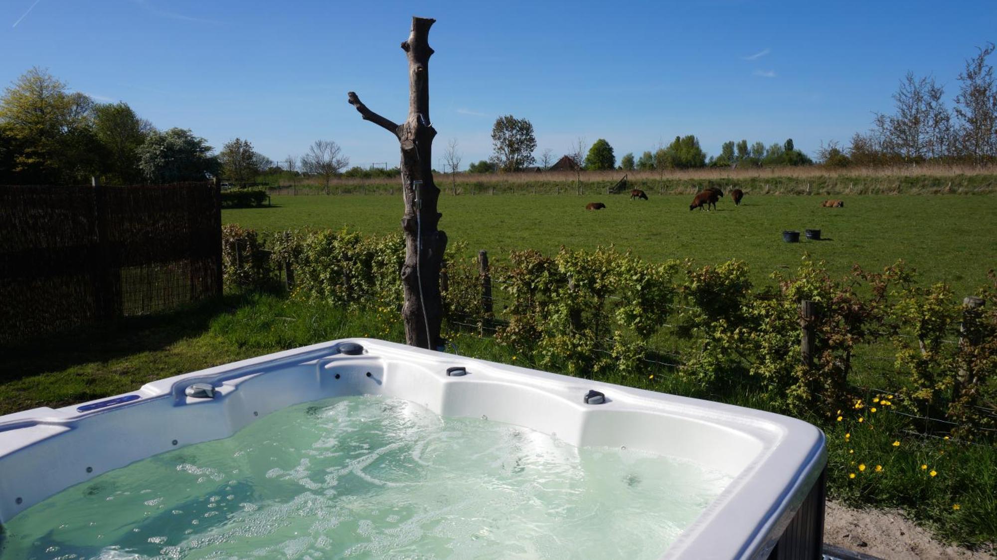 Bed And Breakfast Het Schapenlandje Waarland Bagian luar foto